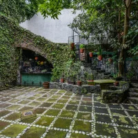 CDL20