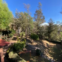 Imagen de WhatsApp 2024-06-26 a las 10.33.13_286ee936