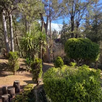 Imagen de WhatsApp 2024-06-26 a las 10.33.13_6c614c05