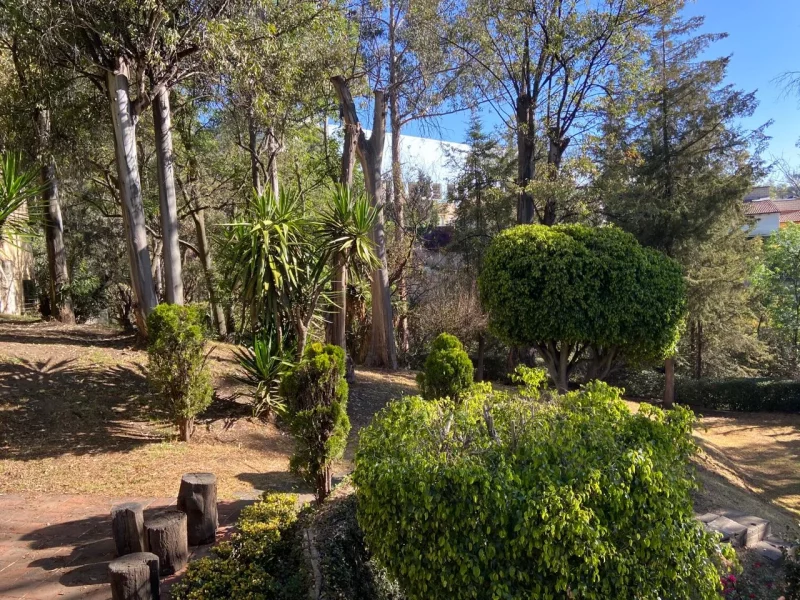 Imagen de WhatsApp 2024-06-26 a las 10.33.13_6c614c05