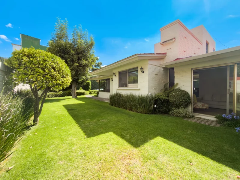IMG_5245