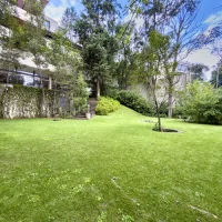 IMG_6282