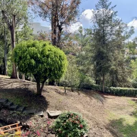 venta terreno en olivar de los padres