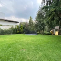 jardin 2