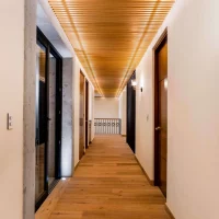 WhatsApp Image 2025-05-08 at 11.54.19 AM (3)