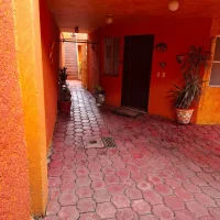 WhatsApp Image 2025-10-28 at 11.23.10 AM (1)