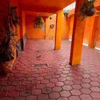 WhatsApp Image 2025-10-28 at 11.23.10 AM (4)