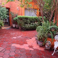 WhatsApp Image 2025-10-28 at 11.23.10 AM