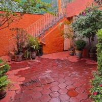 WhatsApp Image 2025-10-28 at 11.23.11 AM