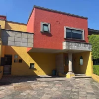 WhatsApp Image 2025-10-29 at 4.32.07 PM