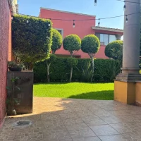 WhatsApp Image 2025-10-29 at 4.32.08 PM (8)