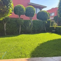 WhatsApp Image 2025-10-29 at 4.32.08 PM (9)