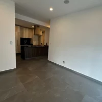 WhatsApp Image 2026-02-11 at 17.55.46 (1)