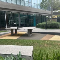 WhatsApp Image 2026-02-11 at 17.55.48 (18)