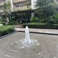 WhatsApp Image 2026-02-11 at 17.55.49 (11)