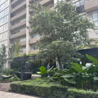 WhatsApp Image 2026-02-11 at 17.55.49 (12)