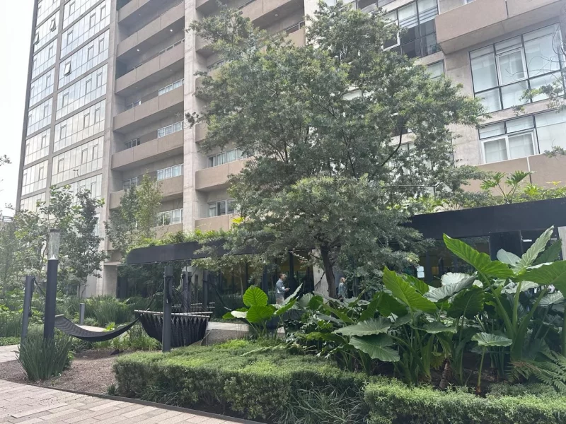 WhatsApp Image 2026-02-11 at 17.55.49 (12)