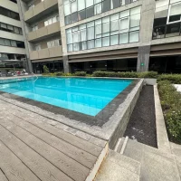 WhatsApp Image 2026-02-11 at 17.55.49 (15)