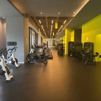 WhatsApp Image 2026-02-11 at 17.55.49 (4)