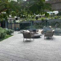 WhatsApp Image 2026-02-11 at 17.55.49