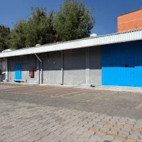 WhatsApp Image 2026-03-19 at 16.04.03 (7)