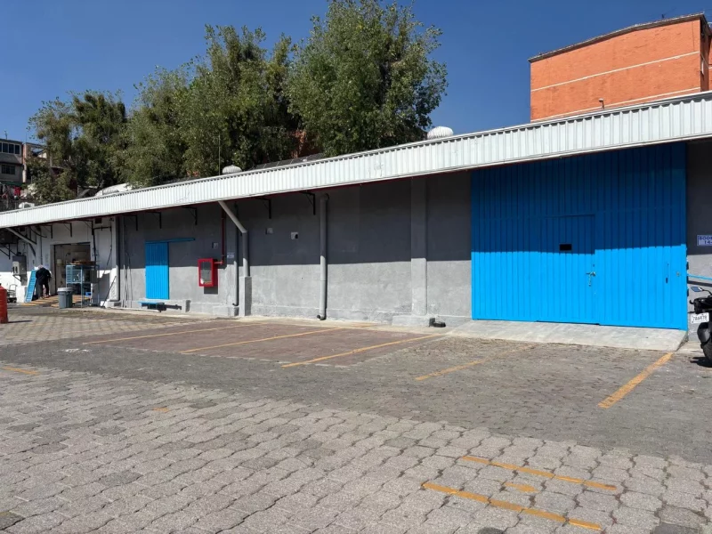 WhatsApp Image 2026-03-19 at 16.04.03 (7)